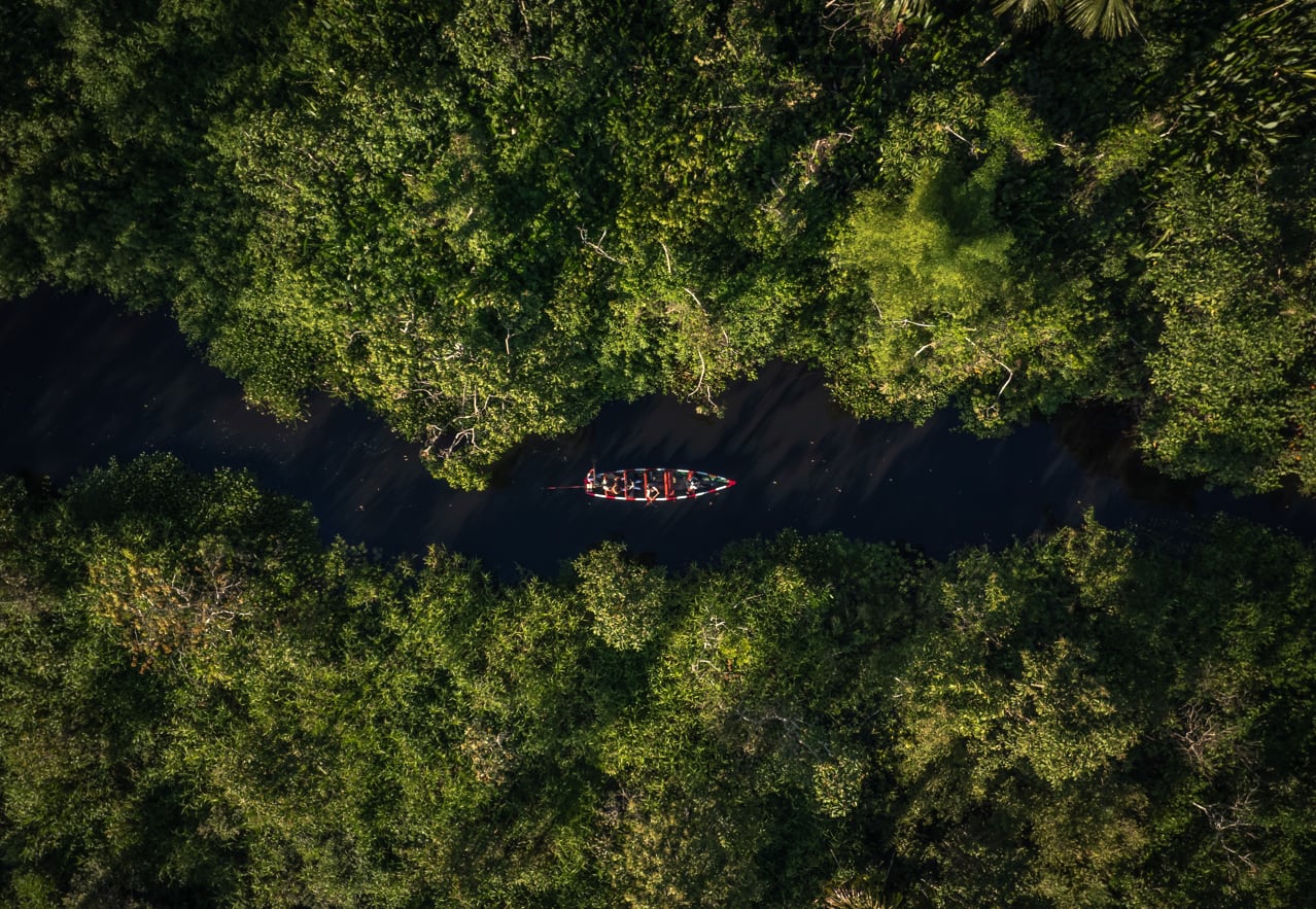 La Amazonía también tiene una factura económica, ¿cuál es para Perú? (Foto: Pexels)