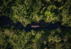 Perú entre los 10 de países con más riesgo económico por deforestación: la alerta para el PBI