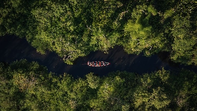 La Amazonía también tiene una factura económica, ¿cuál es para Perú? (Foto: Pexels)