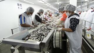 Produce: “Nueva tasa de derechos de pesca no afecta rentabilidad de la industria”