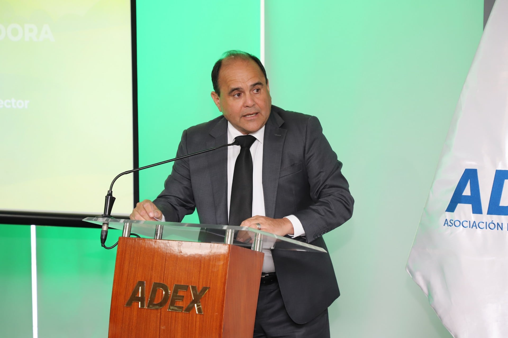 Rafael del Campo, vicepresidente de ADEX. (Foto: ADEX)