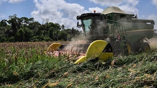 Brasil supera obstáculos para desbancar a EE.UU. como primer exportador de maíz