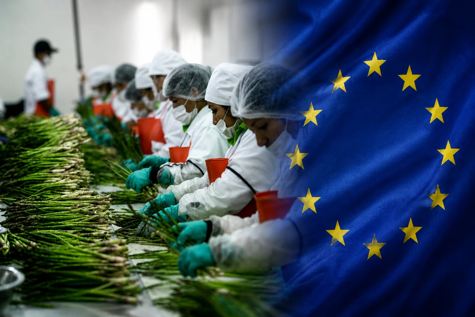 El clima europeo podría modificar el abastecimiento agrícola y favorecer a proveedores como Perú. (Foto: Andina / ChatGPT)