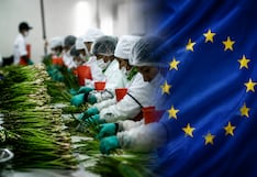 Europa pierde oferta agro por el clima y se abre oportunidad para Perú: ¿estamos preparados?