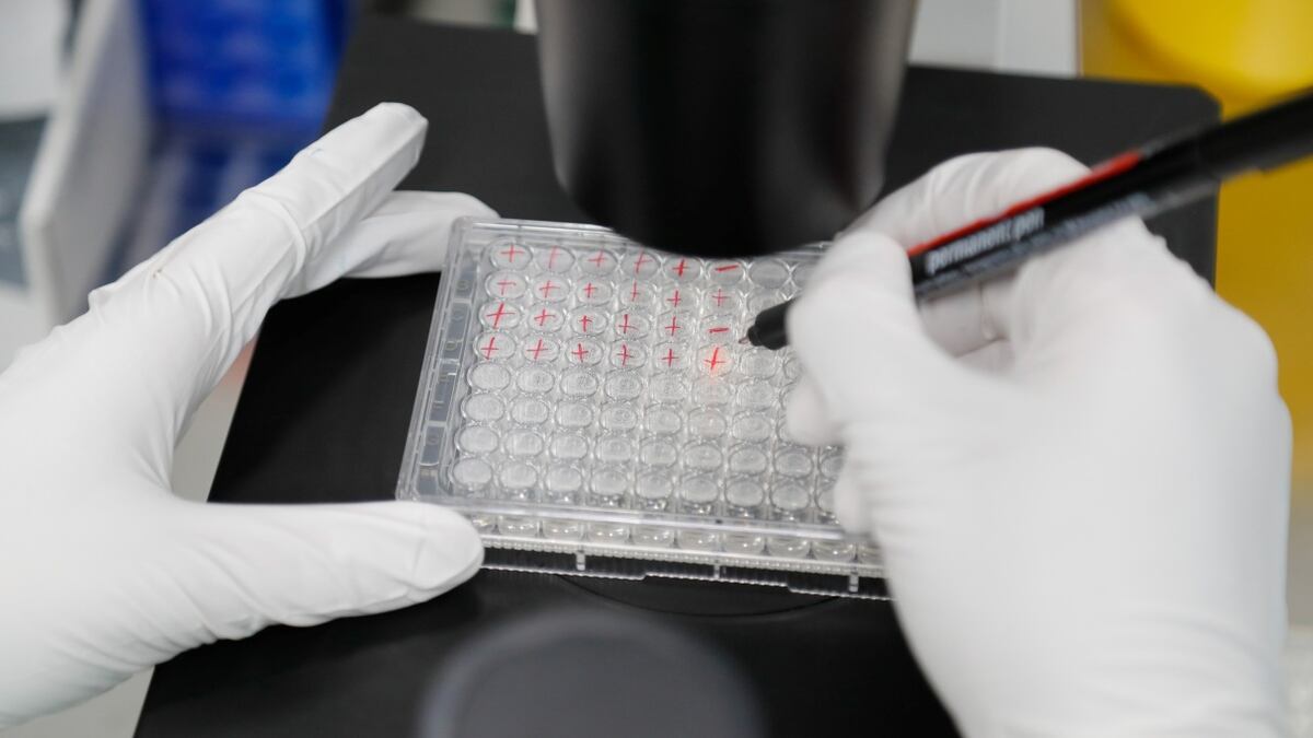 Cellgenic aterriza en Perú: holding de medicina regenerativa de EE.UU. crecerá en Latam