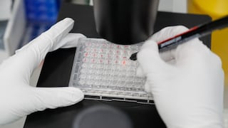 Cellgenic aterriza en Perú: holding de medicina regenerativa de EE.UU. crecerá en Latam