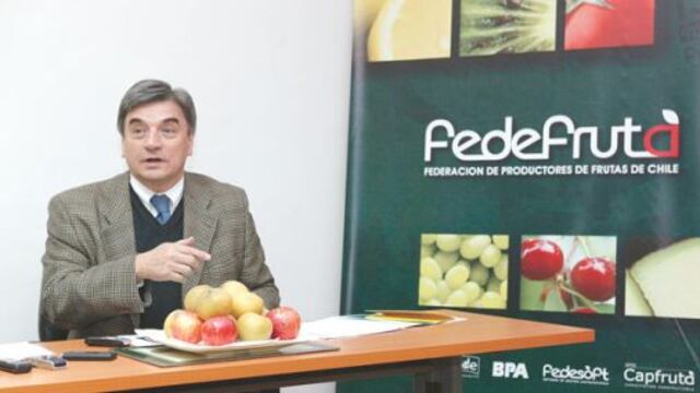Chile: Gremio frutícola reclama más inversión por parte del Estado para mejorar la eficiencia