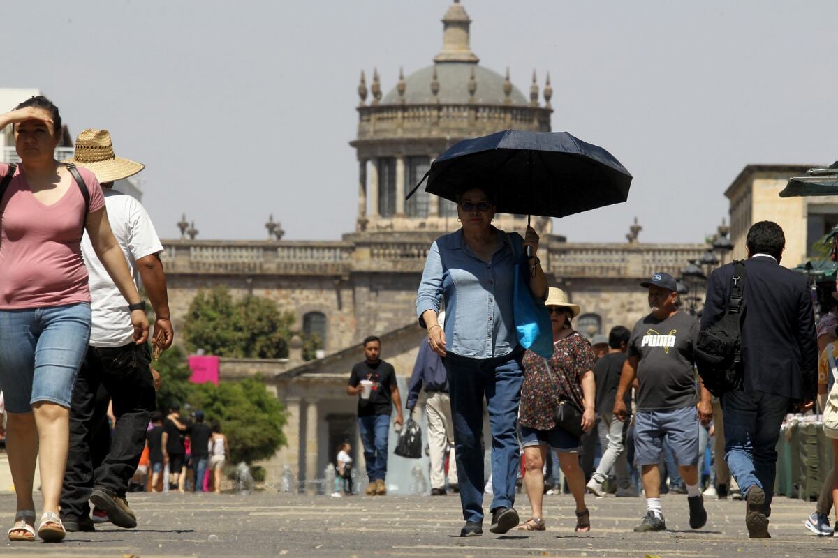 El ciclo escolar 2023-2024 tendrá más de diez puentes (Foto: AFP)