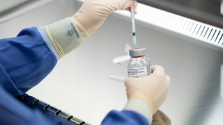 Vacuna contra variante del coronavirus CureVac-GSK genera una buena respuesta inmune en ratas