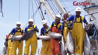 Perú logró pescar mil toneladas de atún de zona marítima obtenida tras litigio con Chile