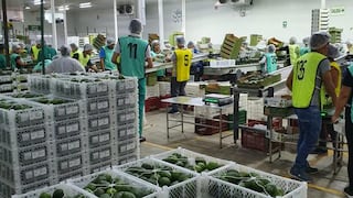 Trabajadores agrícolas reciben mayores ingresos en regiones agroexportadoras 