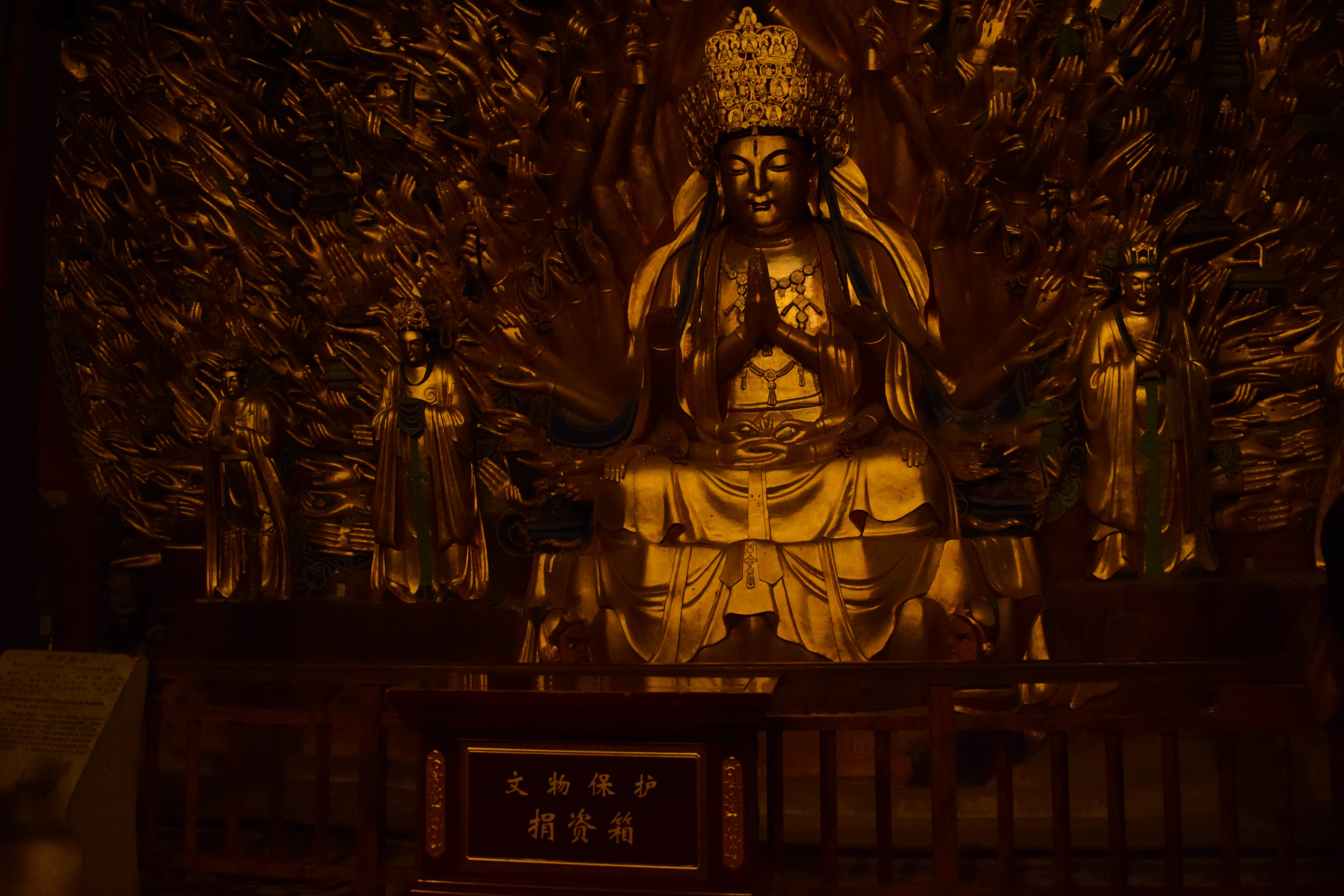 (Foto: Ani Lu Torres)