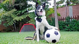 Dueño de Ricocan y Canbo diversifica su negocio: esto es lo nuevo