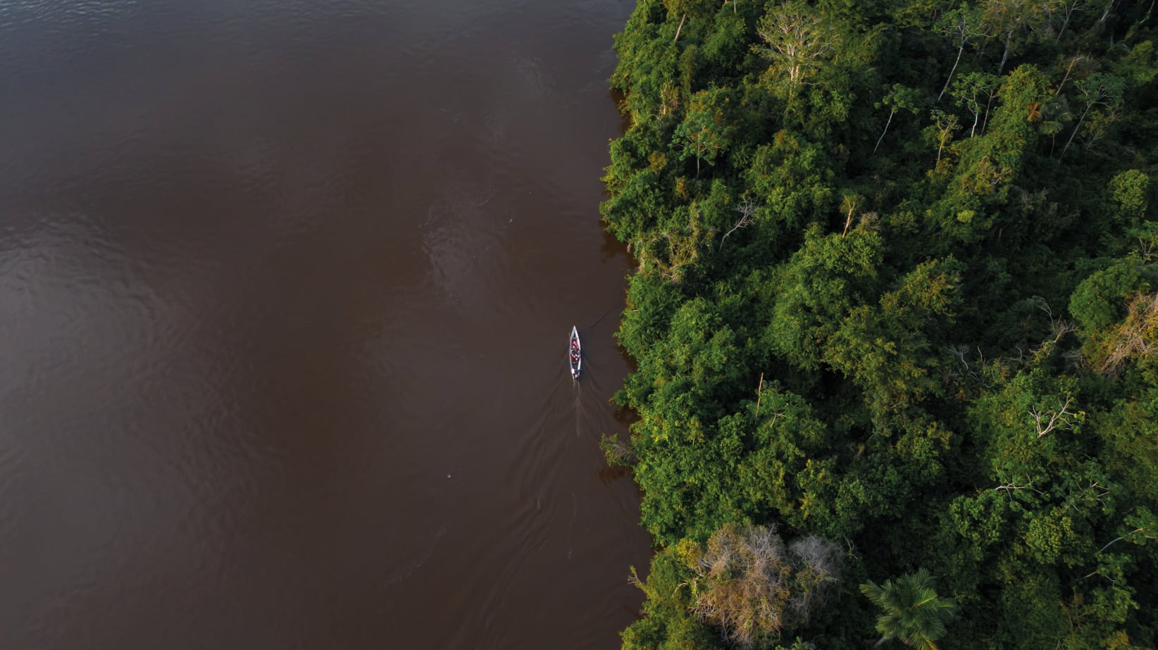 La Amazonía exportadora aparece como clave para sostener su flujo de carga. (Foto: cortesía del Cechap)