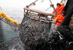 Exalmar logra financiamiento a mediano plazo por cerca de U$ 20 MM