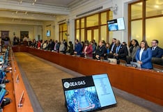 Perú respalda transición democrática en Venezuela, afirma su representante ante la OEA