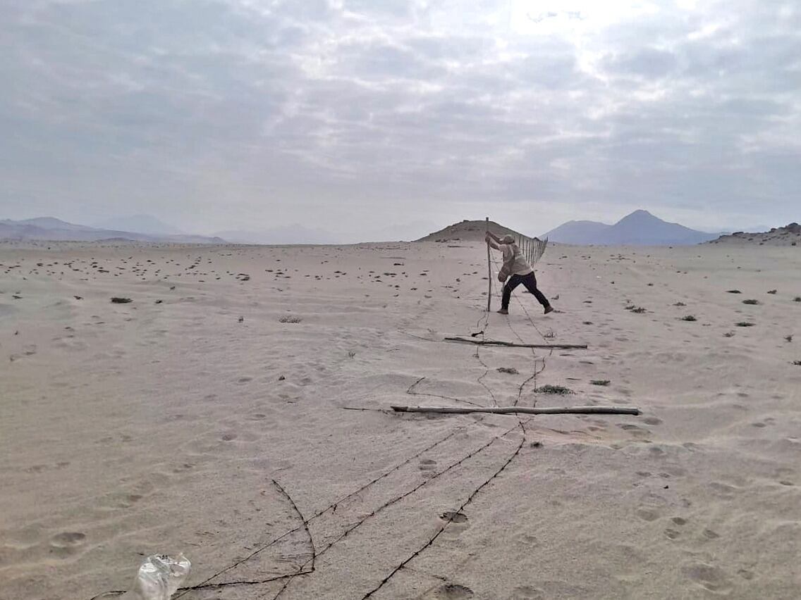 Terrenos delimitados en chinecas. Foto: GEC.