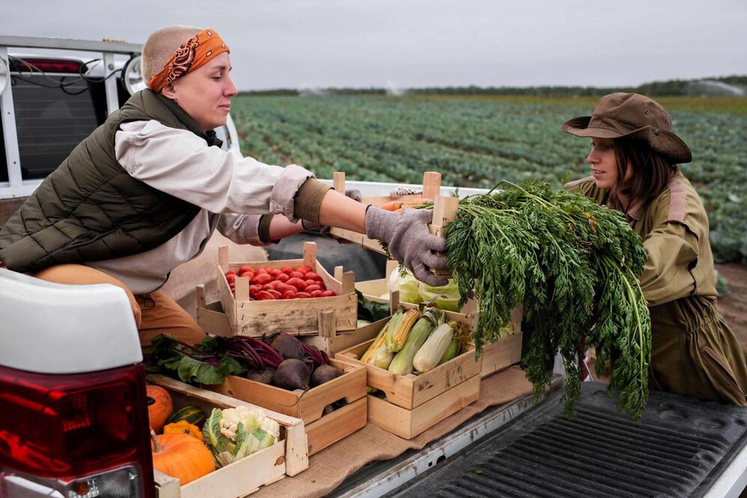 Ayuda a conocer cómo le irá a la agricultura durante el invierno (Foto: Freepik)