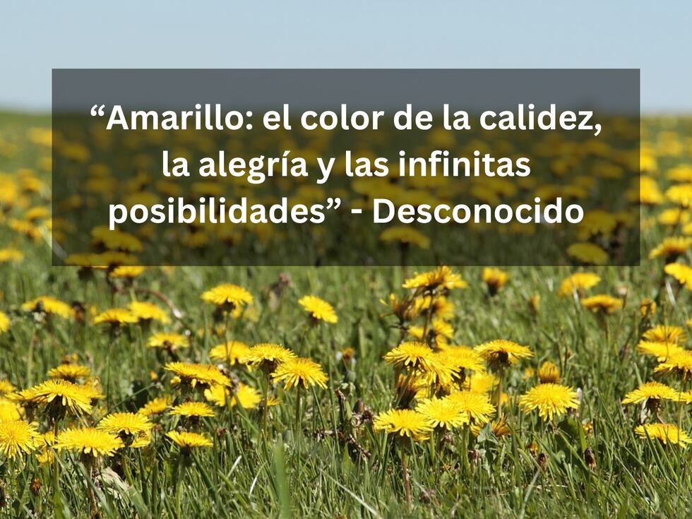 “Amarillo: el color de la calidez, la alegría y las infinitas posibilidades” - Desconocido | Imagen de NoName_13 en Pixabay / Composición Mix