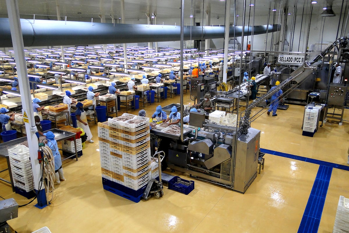 Seafrost concentró el 8.39% del valor total exportado del sector pesquero. (Foto: Seafrost)
