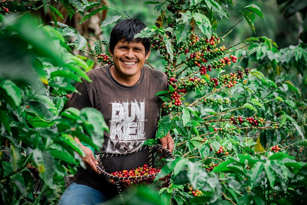 Estas son las últimas noticias sobre la agroexportación en el Perú. (Foto: Midagri)