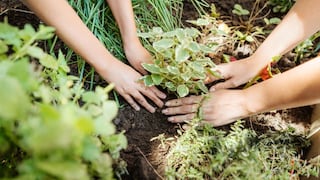 Tecnología sostenible: el camino que Perú puede seguir para reducir sus emisiones de CO2