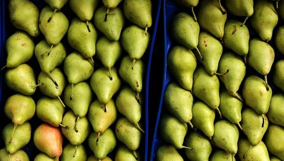 El Estado fijó los criterios para permitir el ingreso de fruta procedente de Bélgica, entre ellos las productoras estén registradas antes de iniciar la temporada de envíos al Perú.  (Agencia EFE)