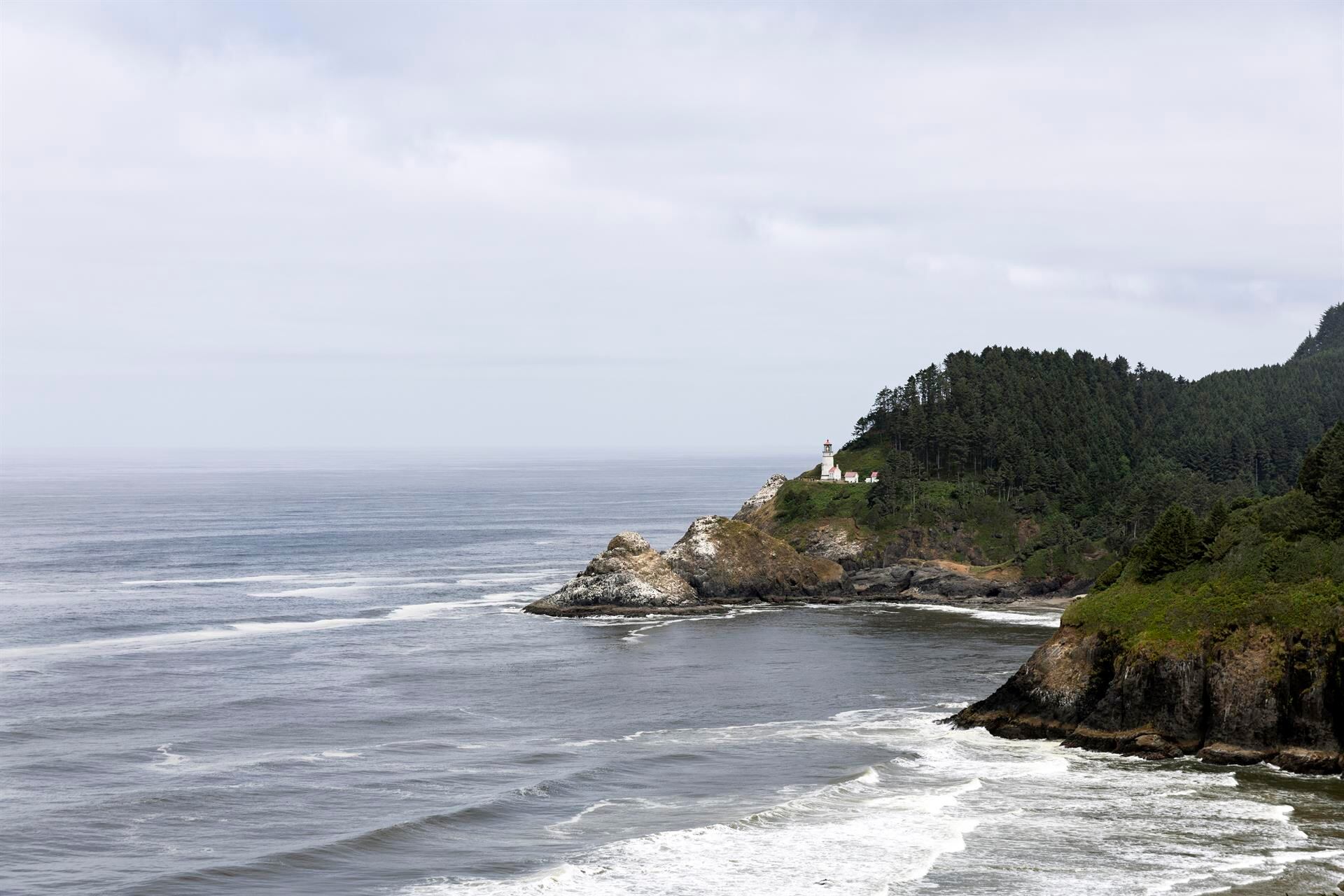 Aún hay tiempo para detener esta industria extractivista “antes de que cause daños irreparables a nuestro planeta”.(Foto: EFE)