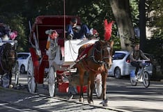 Nueva York pone fecha al fin de los carruajes con caballos en Central Park: qué debe hacer Zohran Mamdani