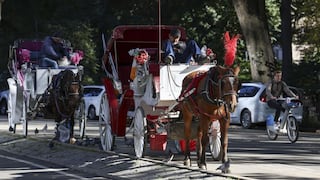 Nueva York pone fecha al fin de los carruajes con caballos en Central Park: qué debe hacer Zohran Mamdani