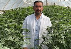 Asociación de Medicina Cannabinoide: “Las instituciones han podido ser más proactivas para beneficiar a los pacientes”