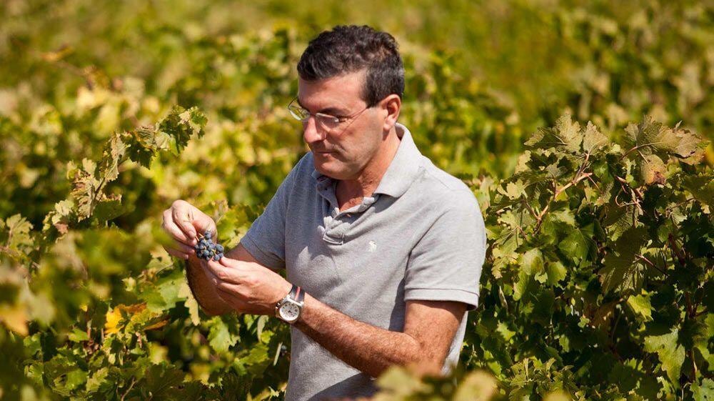Enólogo Rafael Canizares en un vivero de garnacha.