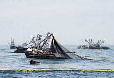 Produce suspende temporalmente pesca de anchoveta en zona norte-centro