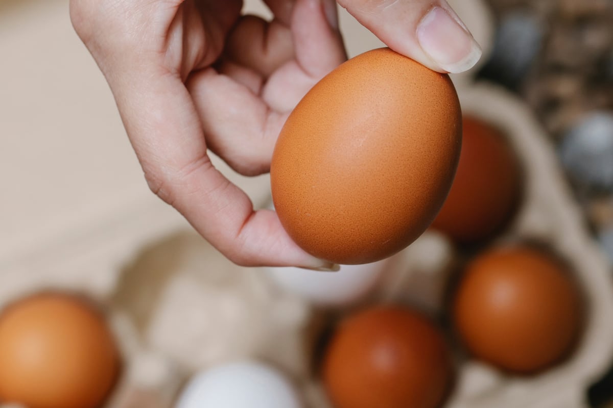 El 55% dejaría de visitar restaurantes que no usen huevos de gallinas libres de jaulas. Foto: Canva