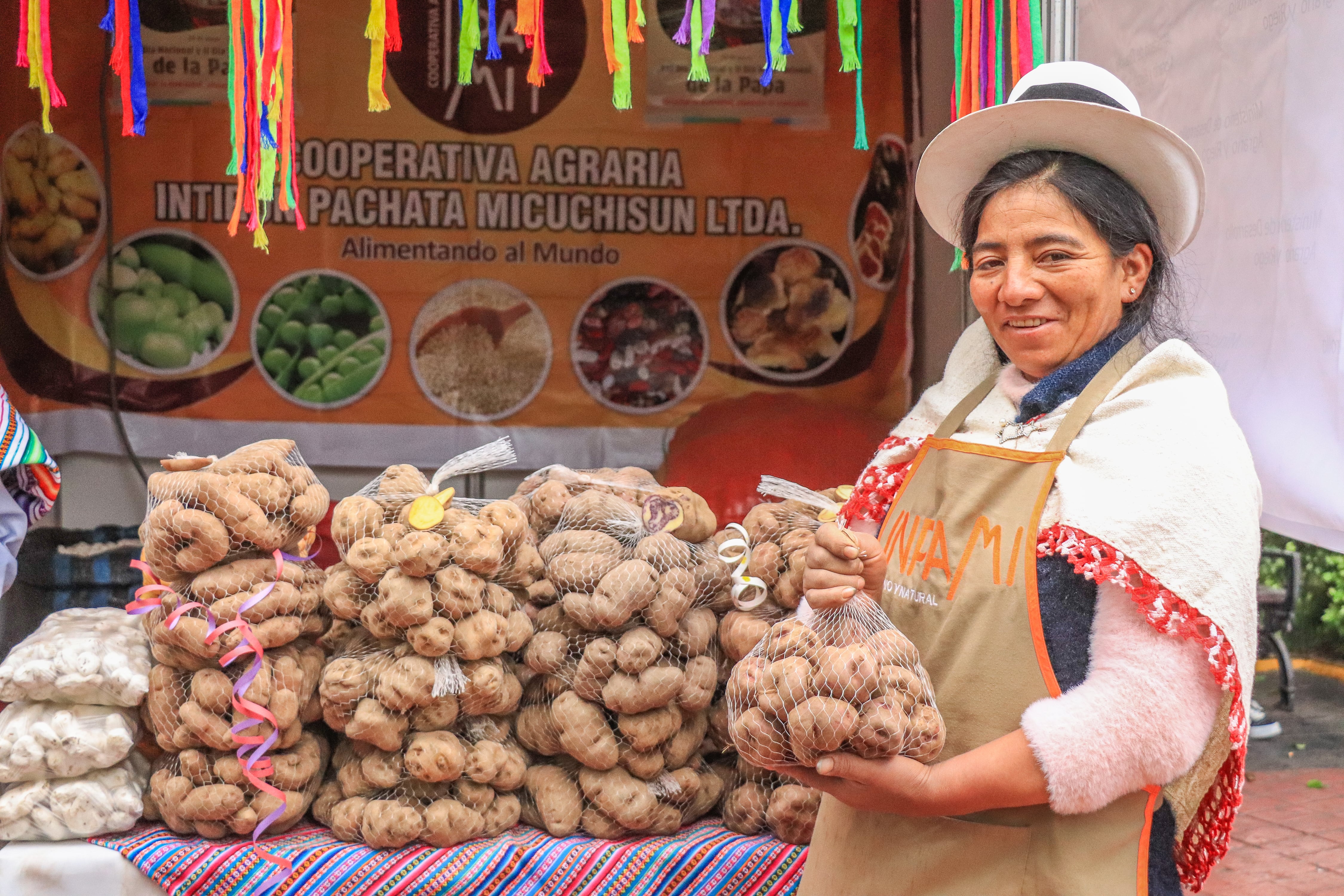 Exportaciones de papa peruana crecieron 19% y llegaron a 13 mercados internacionales | Foto: Midagri