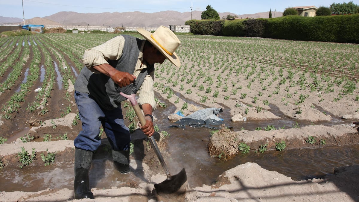 Fenómeno El Niño: El hambre que se viene
