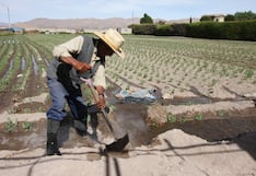 Fenómeno El Niño: El hambre que se viene