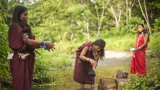 Los indígenas se adentran en la selva amazónica ante el temor de COVID-19   