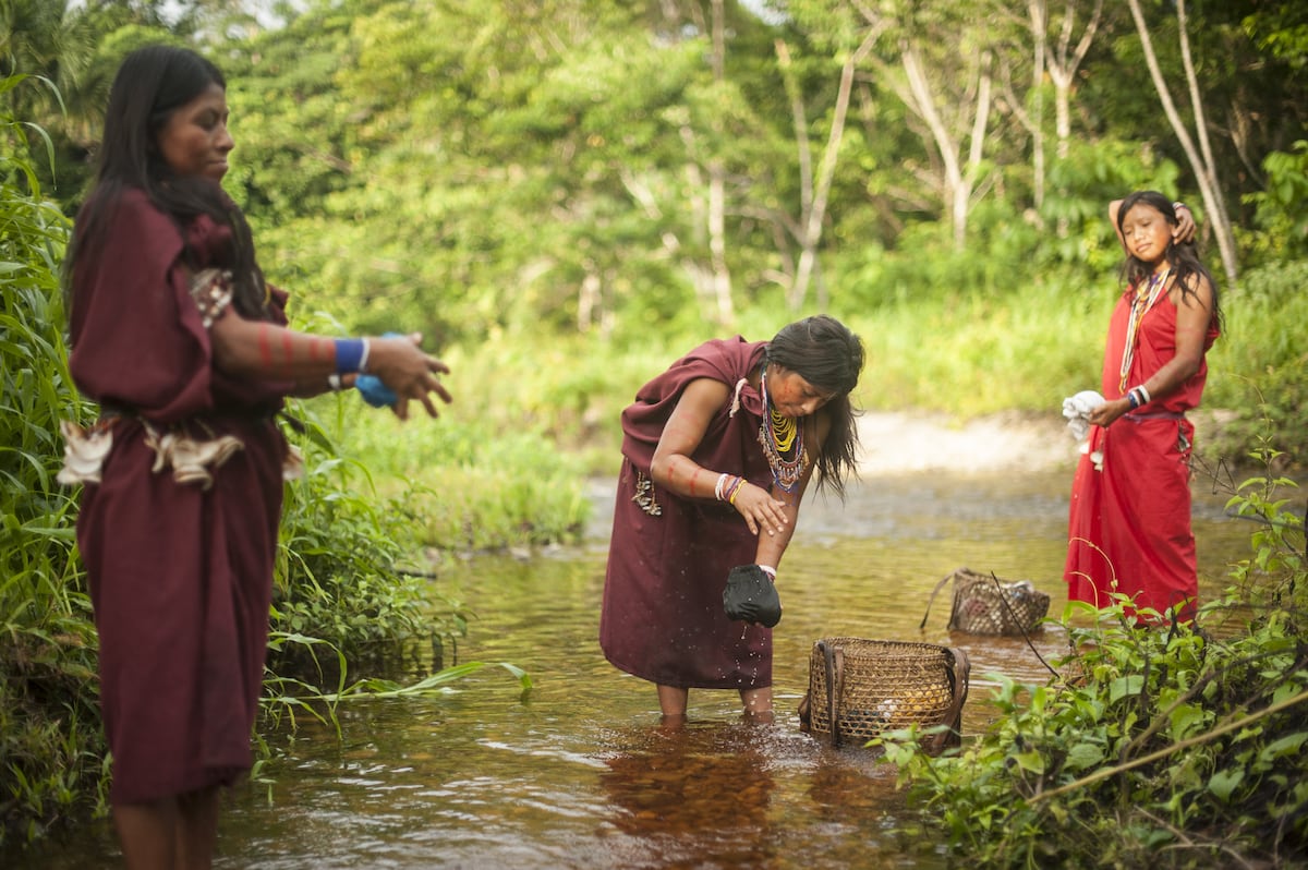 Según el proyecto de ley, anteriormente se aprobaron Reservas Indigenas sin la rigurosidad cientifica que se debería.