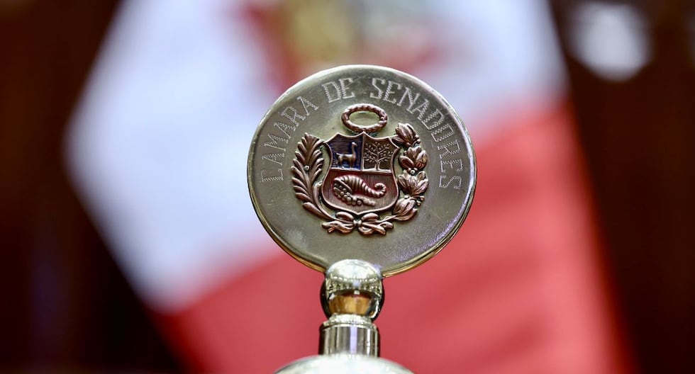 Facultades legislativas: ¿hasta dónde puede el Senado modificar lo aprobado por Diputados?