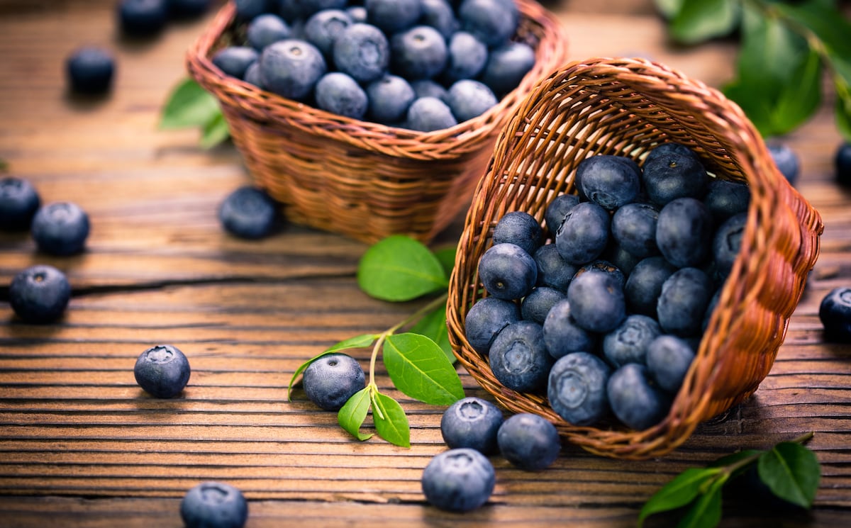Agualima ya comercializa arándanos orgánicos en China, además de atender mercados como Europa y Estados Unidos. La empresa destaca una vida útil de entre 45 y 50 días para sus envíos de larga distancia. (Foto: Shutterstock)