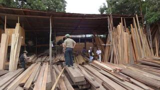 Sunat interviene aserraderos en Tarapoto para incautar madera comercializada ilegalmente