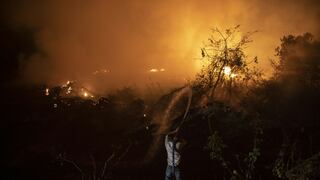 Tres visiones sobre el presente y futuro del Pantanal brasileño 