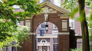 La crisis que afecta a la Universidad de Harvard