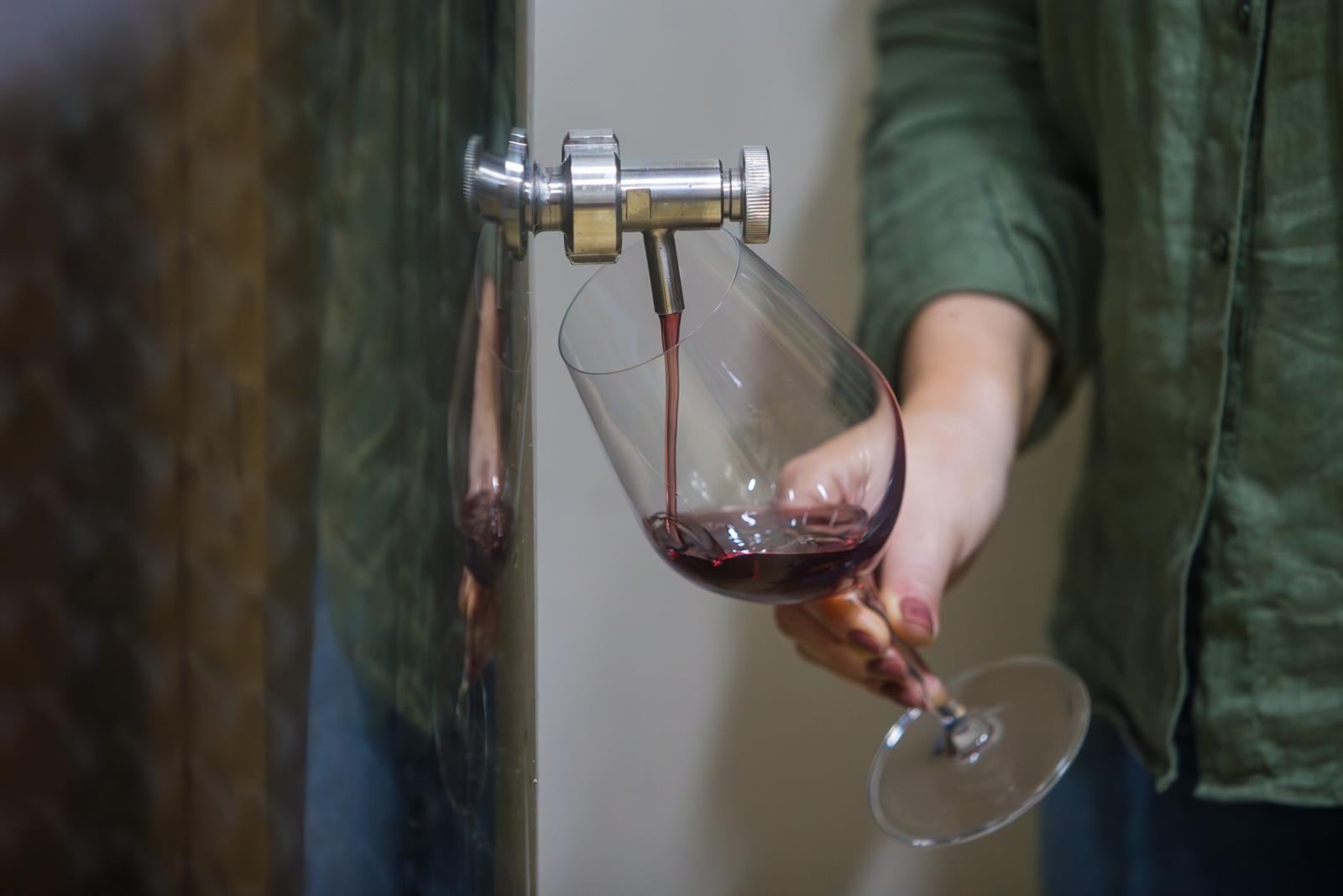 Los responsables de la evolución del vino en el país son los enólogos, esos profesionales que conciben el vino y le dan forma. Algunos llevan más de dos décadas en el país; otros han llegado en los últimos años. (Foto: Mario Zapata Nieto/ GEC)