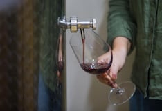 El futuro del vino peruano: Lo que dicen Queirolo, Tacama y Murga sobre las cepas preferidas