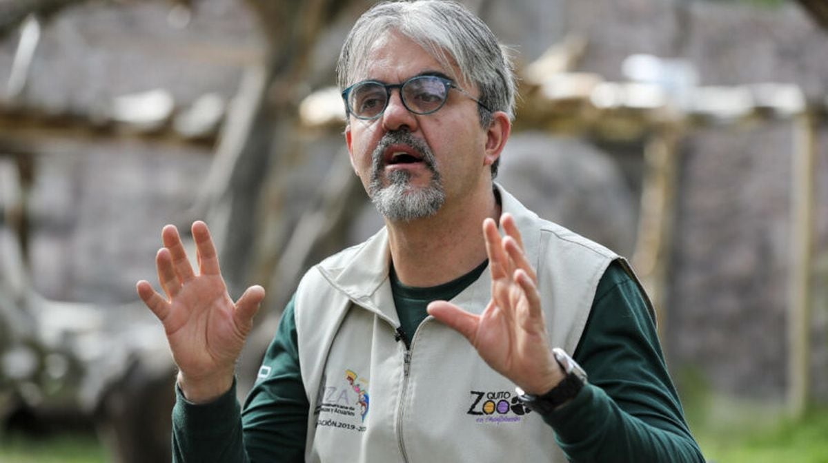 Director del Zoológico de Quito, Martín Bustamante, en una entrevista, el 26 de septiembre de 2023. (Foto: EFE)