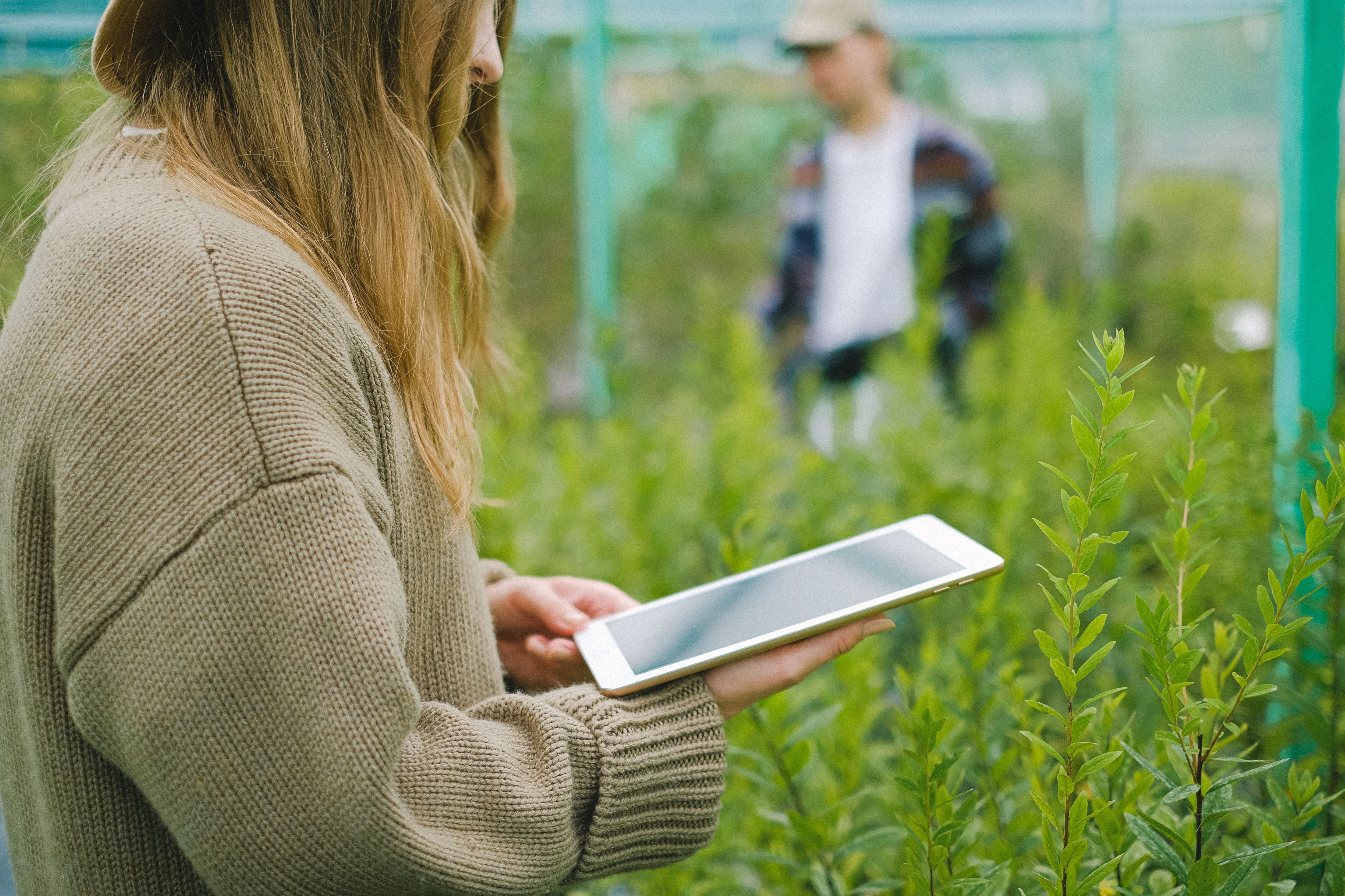 Del riesgo a la oportunidad: los negocios que ganan terreno en Perú por la adaptación al cambio climático. Foto: Pexels