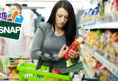 Cambios drásticos en SNAP Florida: nuevos requisitos laborales y de elegibilidad