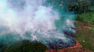 Incendios y deforestación hicieron del 2020 el peor año para la Amazonía